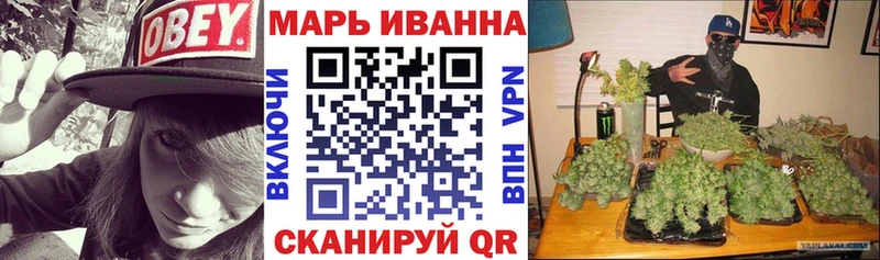 Купить где  Суджа  Каннабис семена 